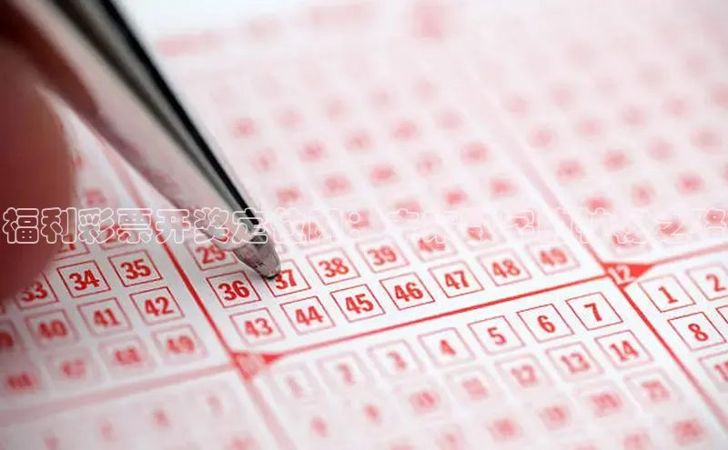 福利彩票开奖定位网：未来数字的神秘之路